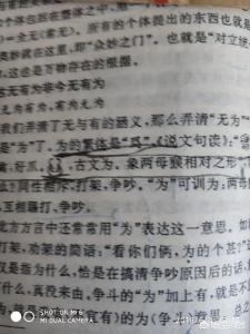 易经是蜥蜴经吗