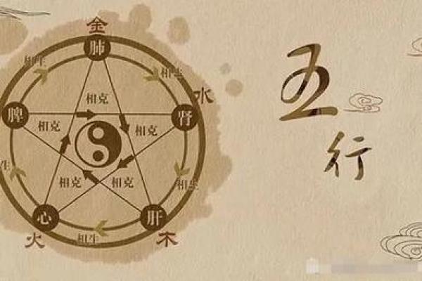 探秘61与62的命理奥秘:你是否也在与他们同行? 探秘61与62的命理奥秘:你是否也在与他们同行?