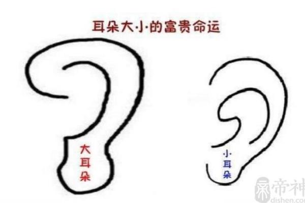 耳朵轮廓与命运：耳朵厚度揭示的人生轨迹与性格特征