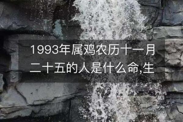 1993年属鸡的人如何选择最合适的婚配命？