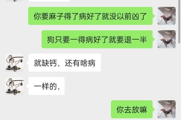 耍起有钱用是什么命？探寻财富背后的真正意义与生活智慧