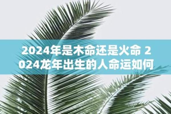 水中虎命的人缺什么？揭开他们命运的秘密！