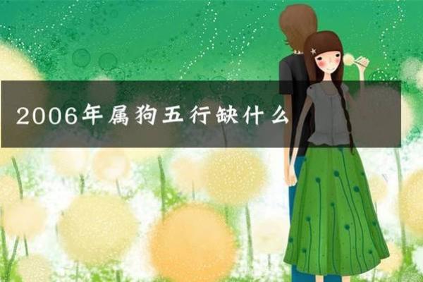 70年狗的命运揭秘：属狗的人生特征与性格分析