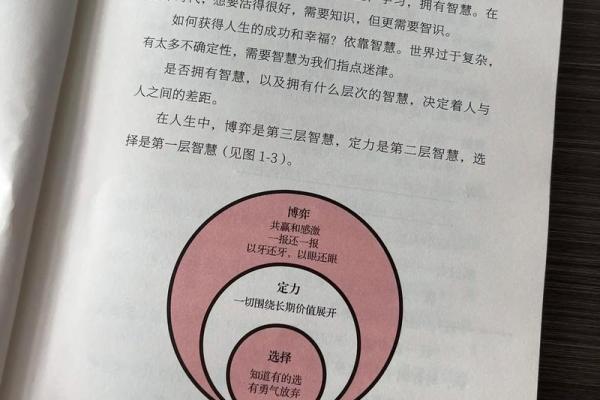 解析时柱乙卯的命理特征与人生智慧，探寻命运背后的意义与启示