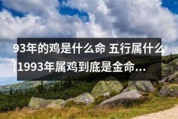 1981年属鸡人的命运揭秘：性格、事业与婚姻的详细分析