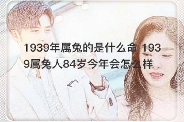 1986年兔年：解析兔子的命理与生活智慧