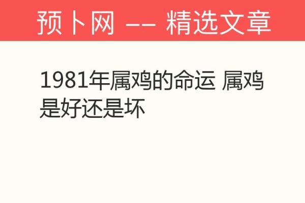 1981年属鸡人的命运揭秘：性格、事业与婚姻的详细分析