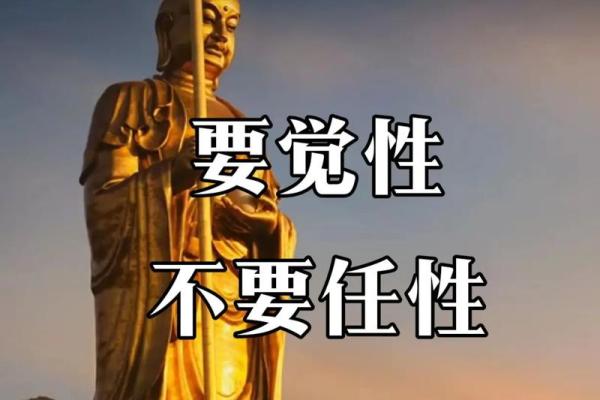 命可以组出的词语与人生的启示