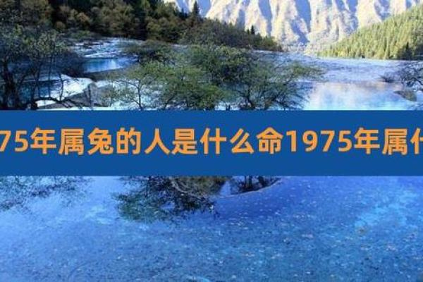 1975年出生的人属兔，命运与性格揭秘！