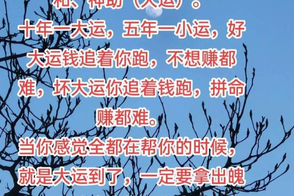 癸巳命的运势解析：哪些大运能助你更上一层楼？