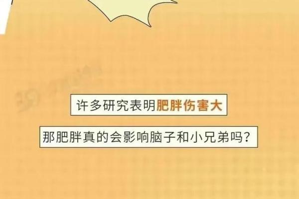 傻子与长寿：为何愚笨的生命往往更为悠长？