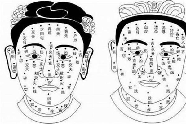 额头很长的人命运解析：解读面相与生活轨迹的奥秘