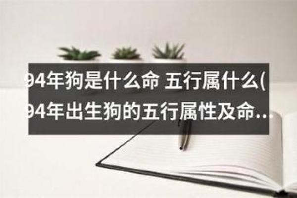 探究2018年属相的人生轨迹与命运解析