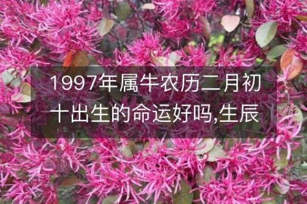 2016阴历6月出生的人命运解析与生活指导