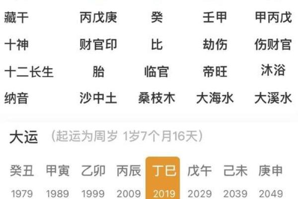 丙辰丁巳命格解析：探寻生肖背后的命理奥秘与人生运势