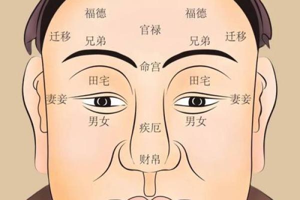 男娃取名的命格依据：揭开名字与命理的神秘联系