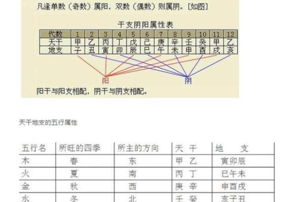 揭秘男日柱乙丑：性格特征与命运解析