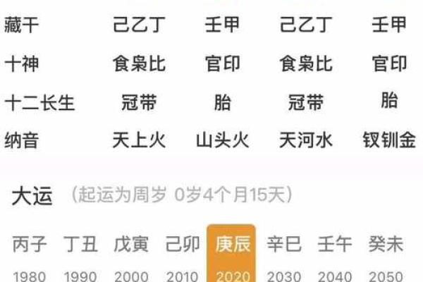 探寻乙亥腊月14日的命理密码：命运的神秘面纱