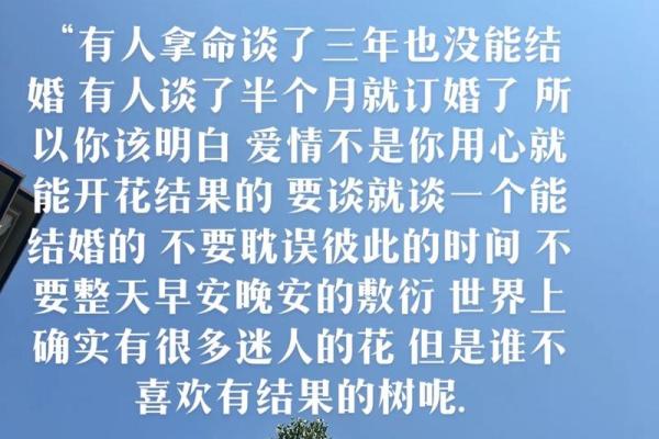 嫁什么男人都是命：爱情与婚姻的真相探讨