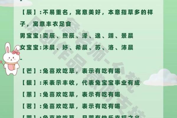 2023年出生宝宝命里缺什么？帮助父母选择最佳名字与关注点的实用指南！