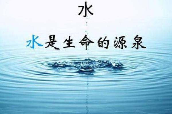 命里缺水与生肖之间的密切关系解析