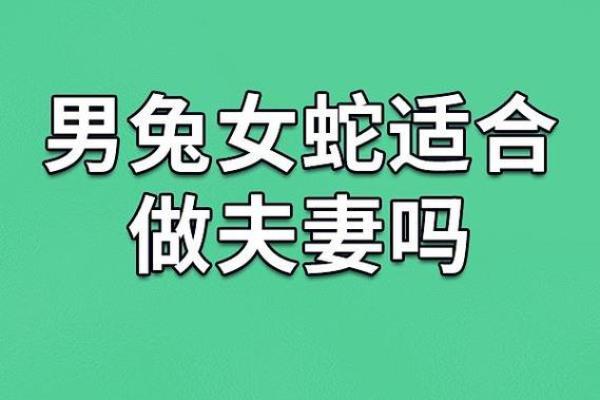 1987年兔年出生的命格解析及个性特征探讨