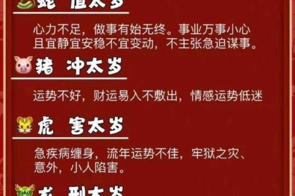 2018年属猪人运势分析：命理解读与发展方向揭秘