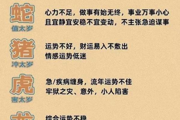 2018年属猪人运势分析：命理解读与发展方向揭秘