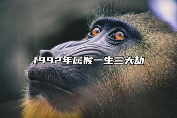 1992年出生的你，命运与易经的智慧交织！