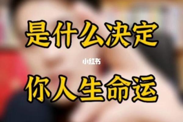 03年正月出生的命理解析：揭秘命运的密码与人生之路