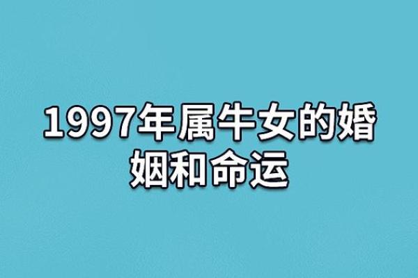 1985年出生牛人的命理解析与生活指导