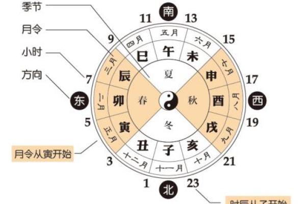 探秘命理：哪些命格容易出帅哥？