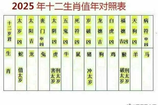 2014年蛇年运势全解析：生活中的好运与挑战！