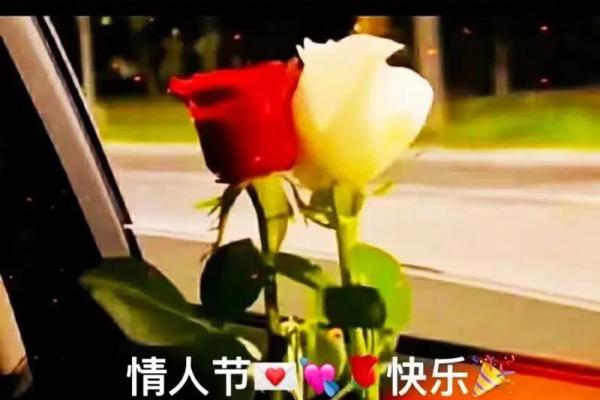 为什么有些女人愿意付出一切去追求爱与幸福？