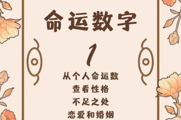 兔子申时出生的人其命运解析，揭示性格与运势