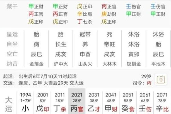 揭秘己巳辛未己亥己巳命理：你的命运走向与潜能分析