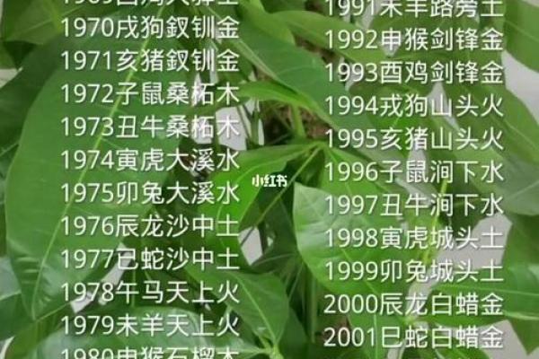 属虎1998年出生的人，他们的命运与五行特性相结合的深刻解析