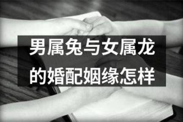 1965年属兔人的命运解析：他们的性格与未来机遇