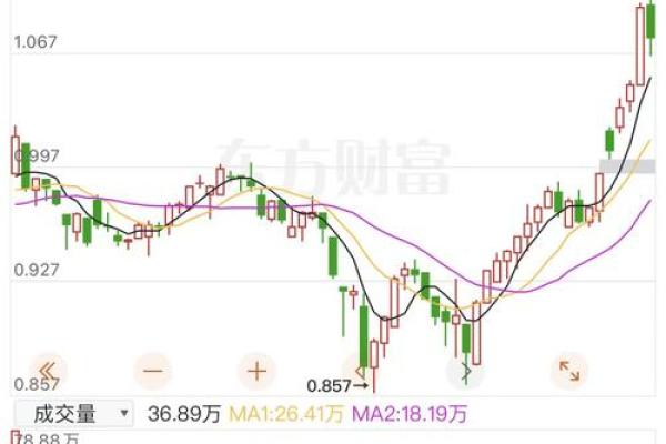 属狗的73岁：如何把握人生的黄金阶段与新机遇