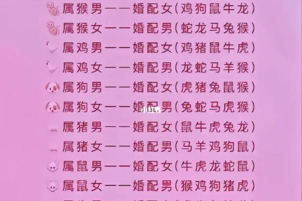 属相命运揭秘：如何通过属相了解你的命运走势？