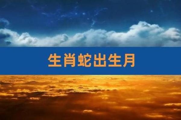 2024年蛇宝宝的命运与性格分析，赋予生活无限可能