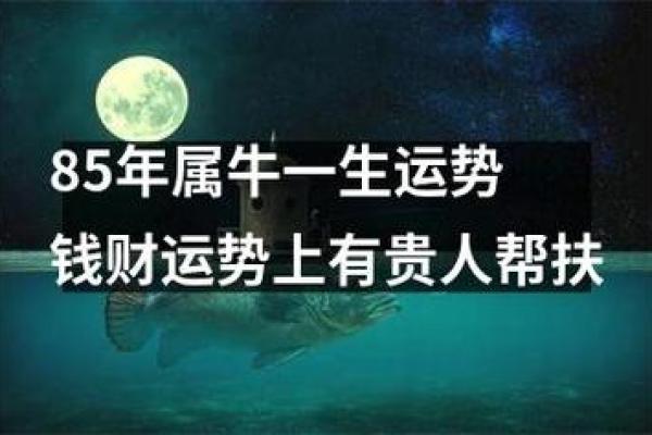 1968年属牛的命运解析：生于牛年，天赋与挑战并存！