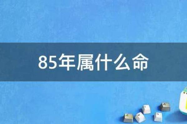 1968年属牛的命运解析：生于牛年，天赋与挑战并存！