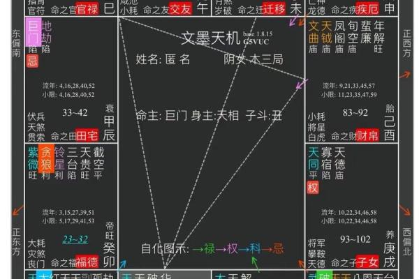 命盘中的桃花：感情世界的象征与启示