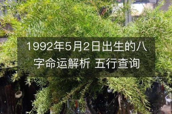 1992年出生的人命运揭秘：生活、事业与性格特点解析