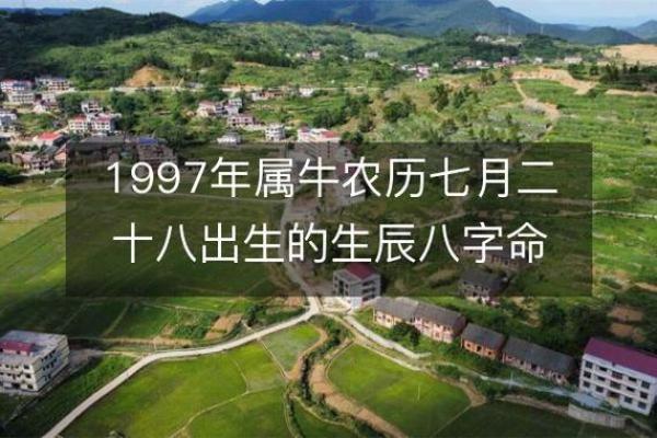 1885年属牛之命：坚韧不拔，稳步前行的人生轨迹