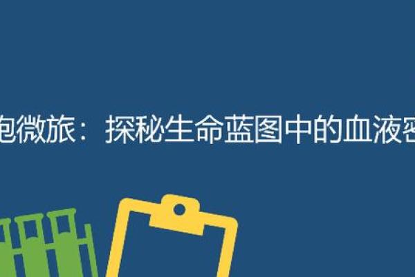 破解98正月十五出生人的命运密码，探索生命的神秘之旅