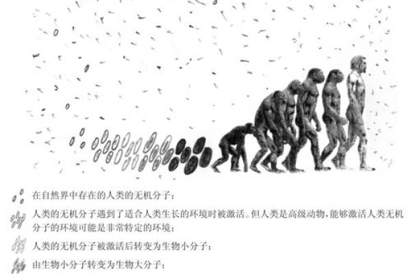 破解98正月十五出生人的命运密码，探索生命的神秘之旅