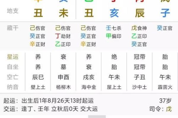 2001年属狗的人生运势揭秘：命理与性格分析