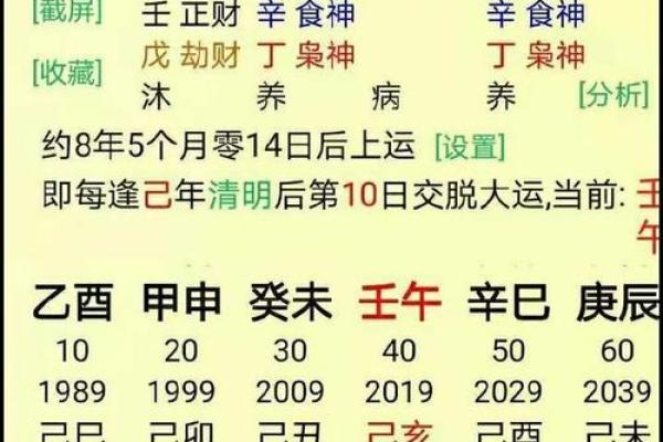 戊午庚申壬戌辛亥：八字命理中的五大元素解析与运势启示